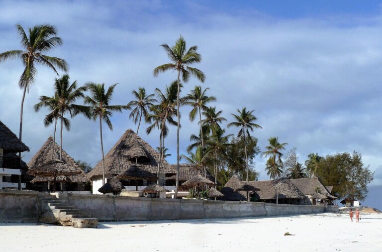 Objevte kouzlo Zanzibaru