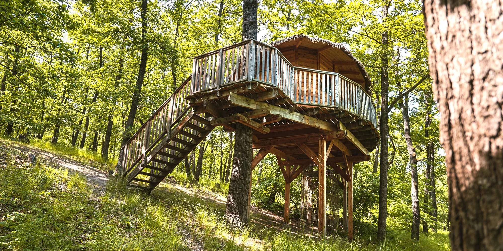 Treehouse na kraji Brna: útulné ubytování i úniková hra